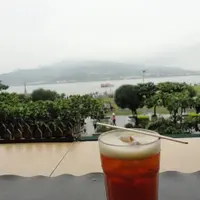 討厭食魚的貓