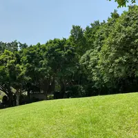 wingwng