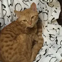 分享下姐