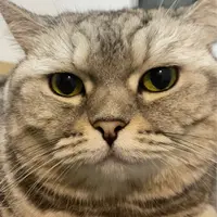 szechanjaiii