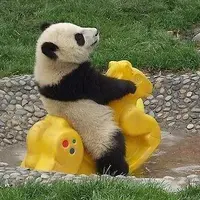 蕥桐