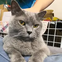 蘑菇人