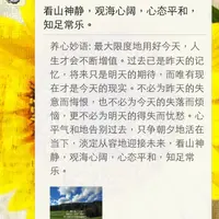 十蚊雞