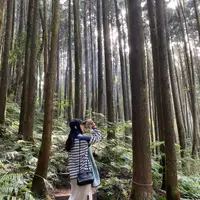 choikituen