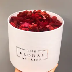 Bealazylady