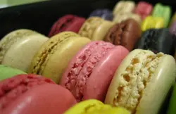 忌廉貓與維園阿伯之食記