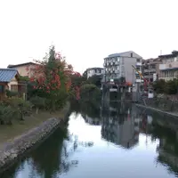 fujikawaii