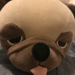 Maviswyc