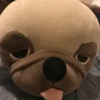 Maviswyc