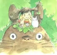 大龙猫