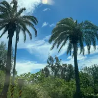 siuwab830