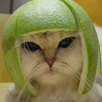 limedream