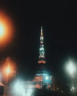 yoyotan315