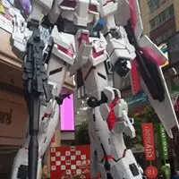 wingk1002000