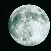 成成哥