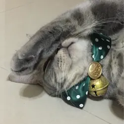 BabeT