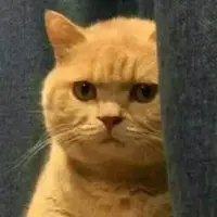 80後嘅小尾巴