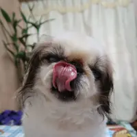 jobeauty