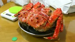 FoodSpotting