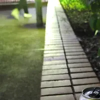 巧蓉