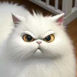 kitchou