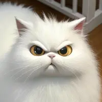 kitchou