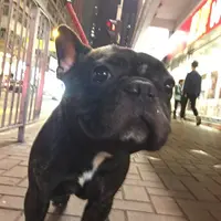 niniinin