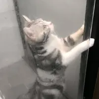 Tony食玩訓