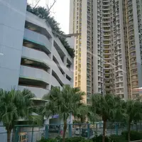 saaracat