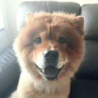melodybb64