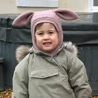 aulaina
