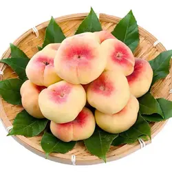 袁冬菇