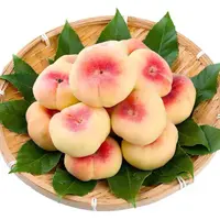 袁冬菇