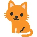 the curious cat
