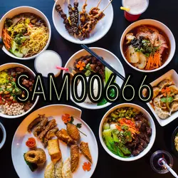 SAM00666