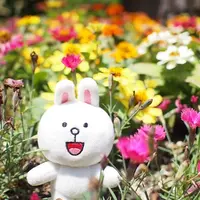 暴食小公主