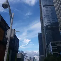 kongchingm