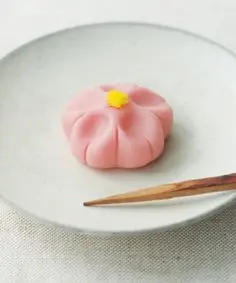 Sakura~～*