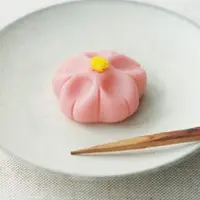 Sakura~～*