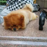 Piano Man
