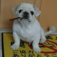 KittyFong2072