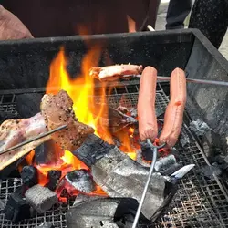 為食大食