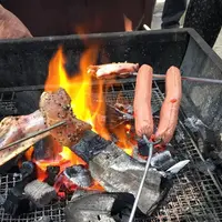 為食大食