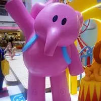 奀芝芝