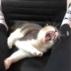 德興