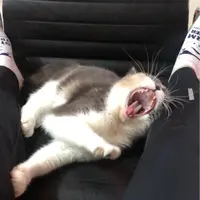 德興