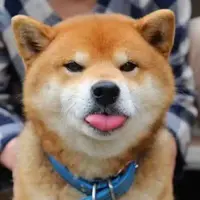 Piscesmyrachan