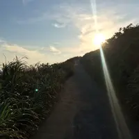 JimmyTsuiTH