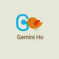 GeminiHo8484