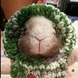 YunRabbits